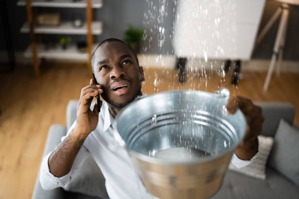 Best Carpet water damage restoration  in Richwood, WV